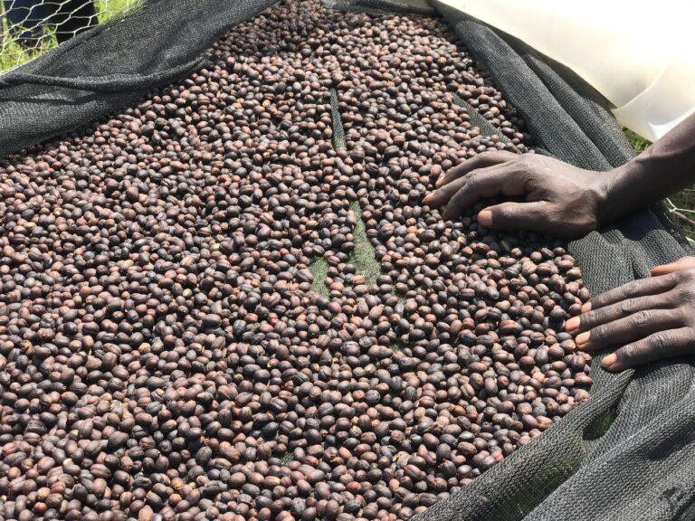 Burundi Kiyonza Natural Akawa Project (Espresso Roast)